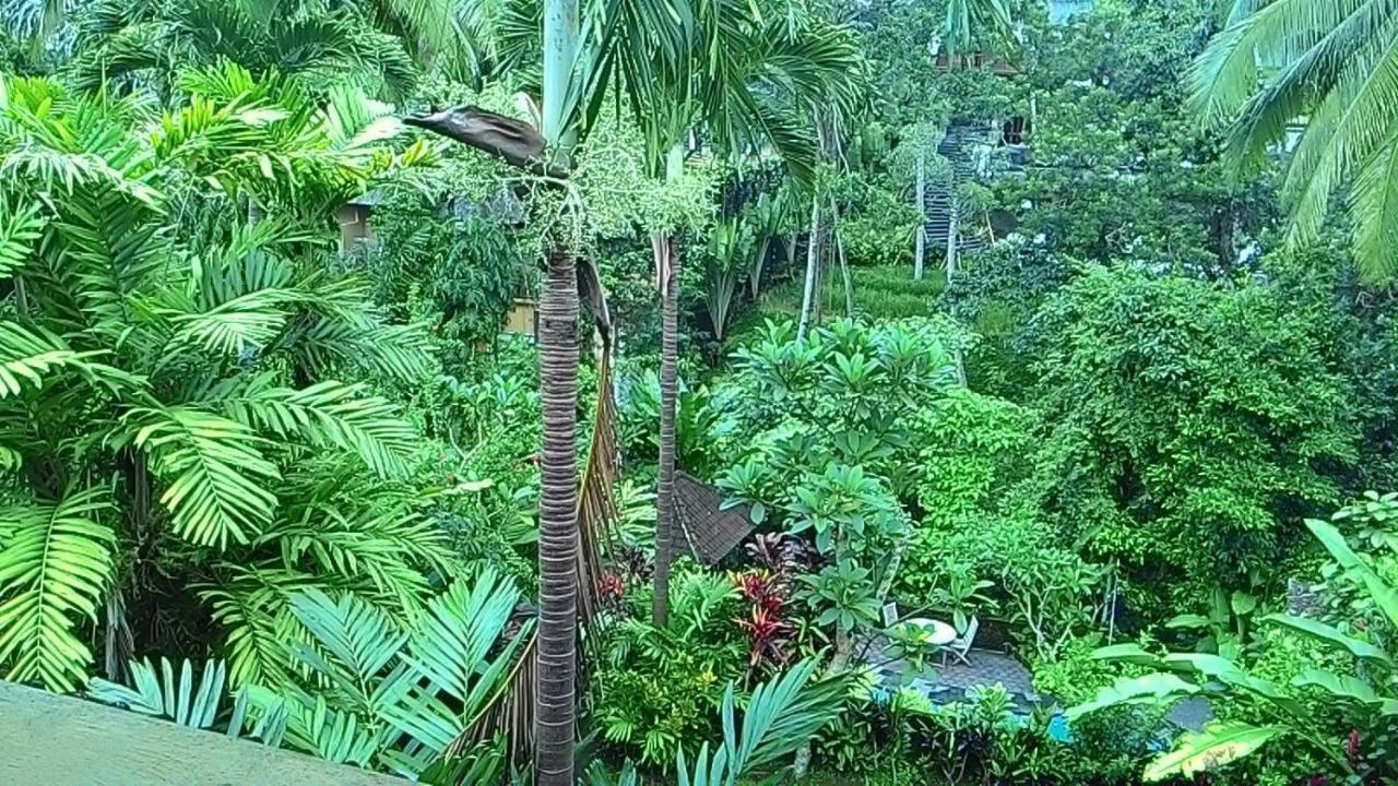 Gasthuis Sari Wangi Ubud