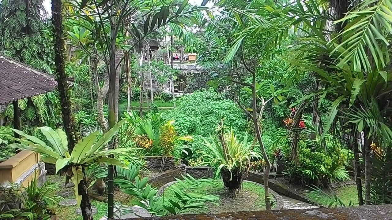 Sari Wangi